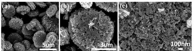 Fig. S5 SEM results of nc-wo3 before annealing.