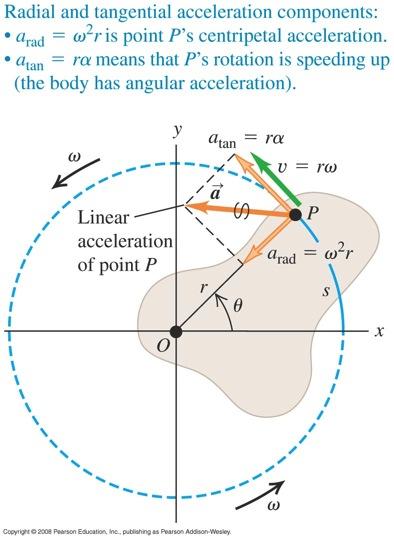 acceleration : a t = rα Radial acceleration