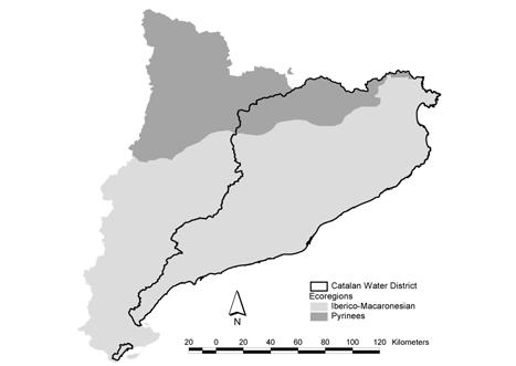 Pyrenees and Iberic-Macaronesian Ecoregions.