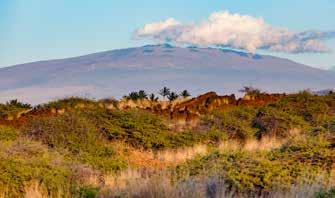 0 About Volcanoes Volcano Card Sort Data Name: Mauna Kea Location: Island of Hawai i, United States