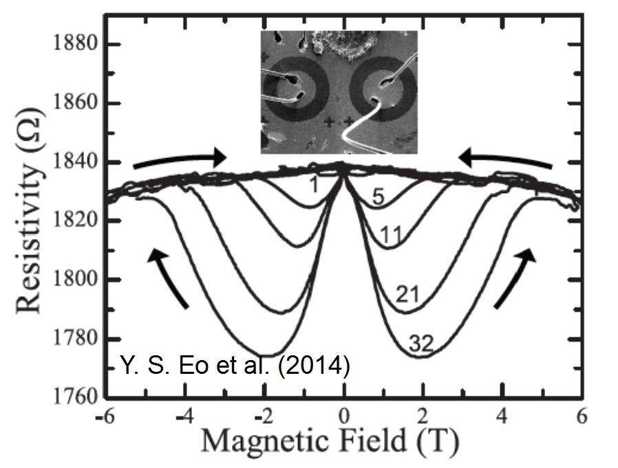 the low T regime where the bulk insulates The hysteretic effects of a magnetic