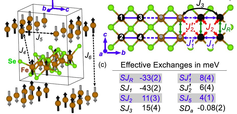 A Frustrated Mott Insulator Magnetic Interactions in iron ladder are