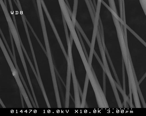 Electrospinning polylactic acid (PDLLA) and