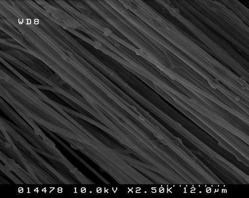 polymers fiber diameters were about 80 to 200