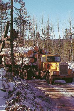 Forest Planning Impacts of: Timber harvesting Road construction Road maintenance