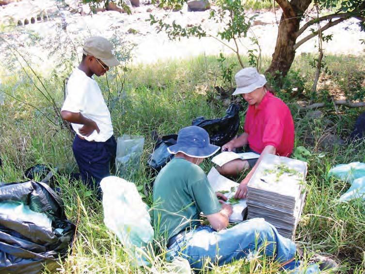 Fig. 26. Collecting plant material for deposition in a herbarium. (Picture by SANBI) portable electronic data-capturing devices, where possible.
