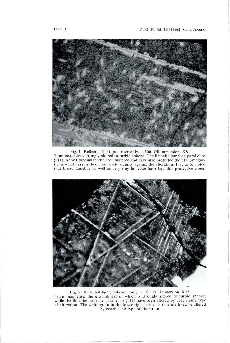 Plate 12 D. G. F. Bd. 16 [1966] AAGE JENSEN Fig. 1. Reflected light, polariser only, x 800. Oil immersion. K8. Titanomagnetite strongly altered to turbid sphene.