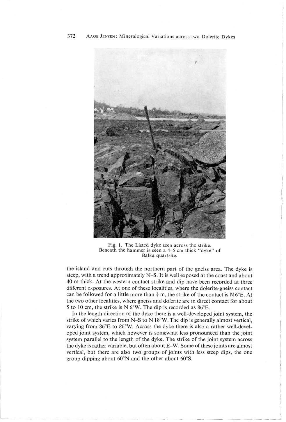 372 AAGE JENSEN: Mineralogical Variations across two Dolerite Dykes Fig. 1. The Listed dyke seen across the strike. Beneath the hammer is seen a 4-5 cm thick "dyke" of Balka quartzite.