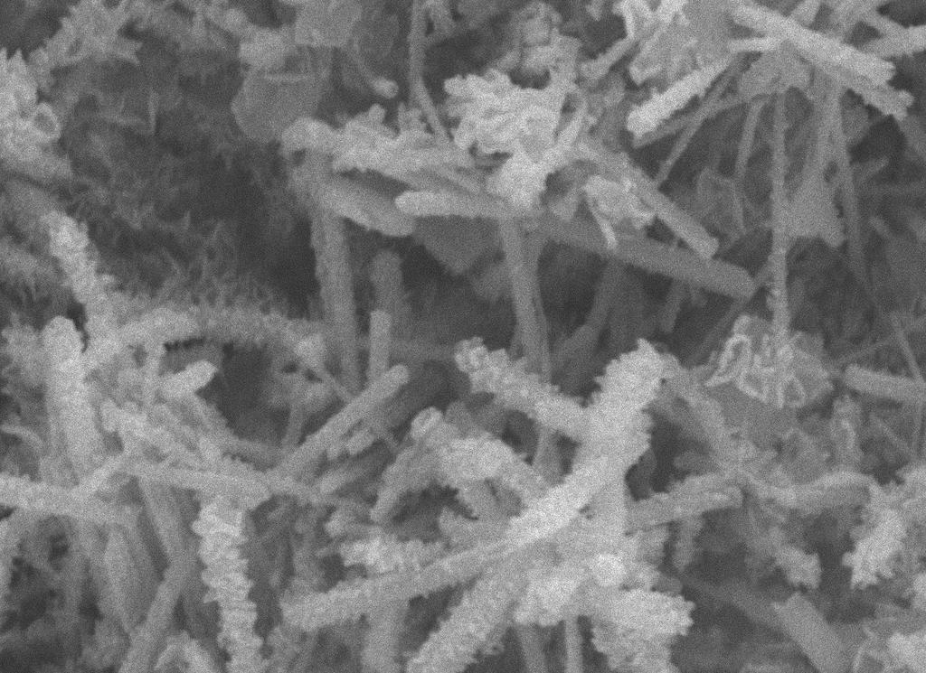 Fig. S5 SEM image of CoTe 2 MnTe 2 /TM after stability test. Fig.