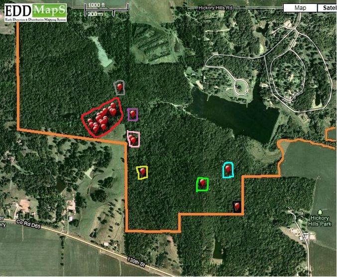 Figure1. The map is part of Hickory Hills Park and the red dots are known Garlic Mustard patches.
