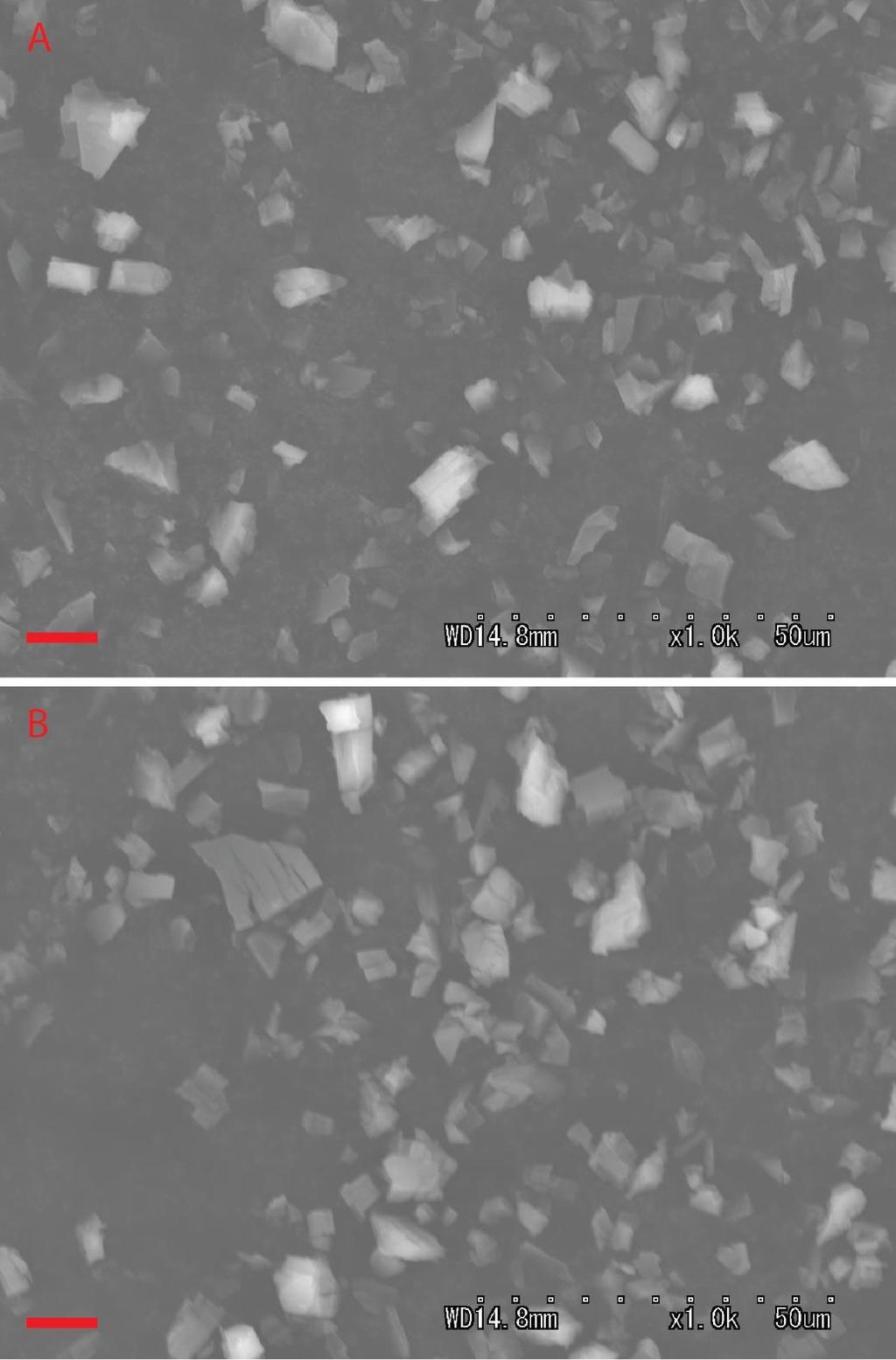 Figure S2: A, B: SEM micrographs of 1-PSt(7%) (A) and 1-PSt(16%) (B). The red scale bars represent 10 m. No PSt is observed outside of the MOF particles.