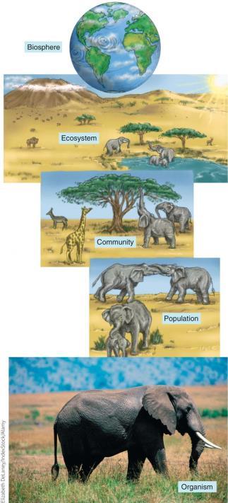 Biological Communities Ecology Hierarchy Part of Earth that contains living organisms Community