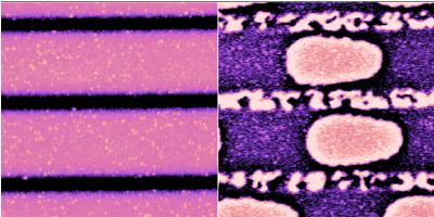 Magnetic Force Microscopy AFM MFM Bits (50 nm)
