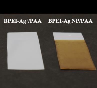 A 30 bilayer BPEI-Ag + ion/paa film was cut as 1 cm 1 cm for 365 nm UV radiation for specified times (from 0 min to 420 min).