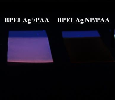 Figure S3. 30 bilayer BPEI-Ag + ion/paa film and BPEI-Ag NP/PAA film under visible light and UV radiation.