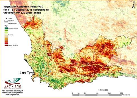 5. Vegetation Condition Index P A G E 9 Vegetation Condition Index (VCI) The VCI is an indicator of the vigour of the vegetation cover as a function of the NDVI minimum and maximum encountered for a