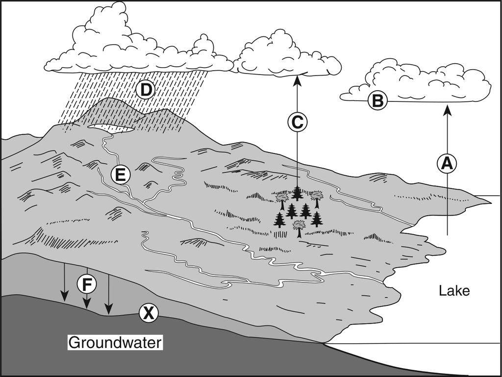 14. Base your answer(s) to the following question(s) on the diagram below, which shows a model of the water cycle. Letters A through F represent some processes of the water cycle.