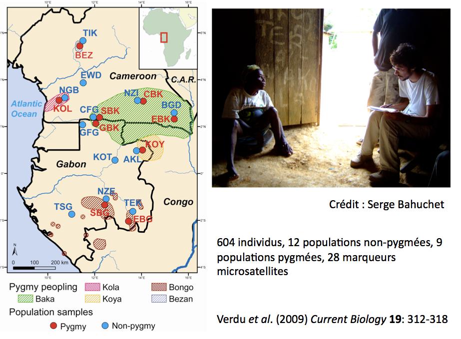 Approximate Bayesian computation ABC basics Illustration Pygmies population demo-genetics Pygmies populations: do they have a common origin?