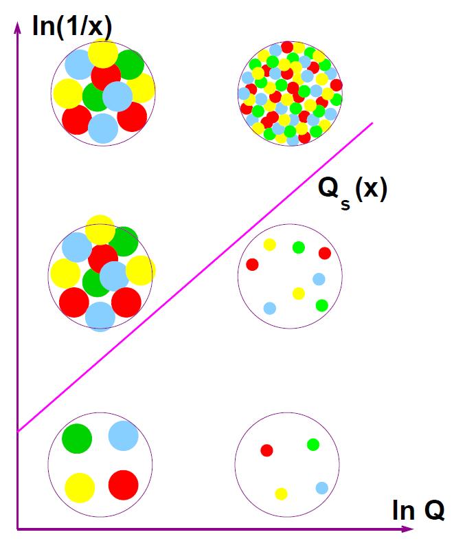 Gluon distribution at small x The gluon distribution increases rapidly as x becomes small.
