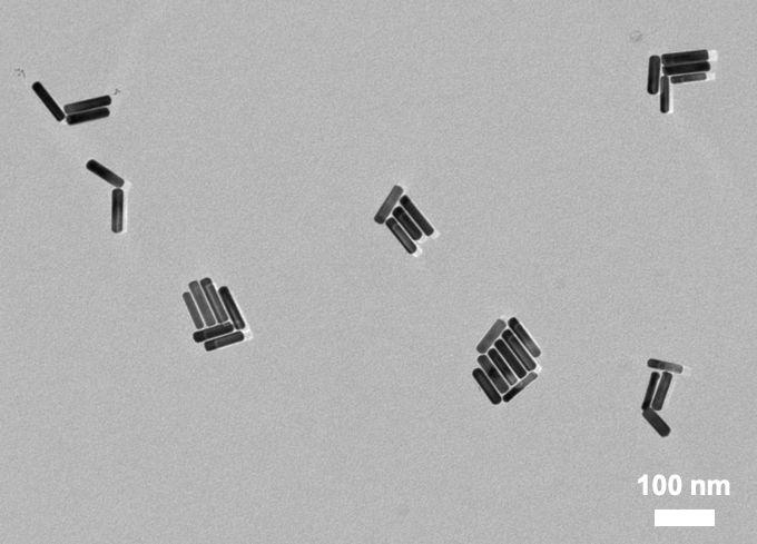 Transmission Electron Microscopy Images of Gold Nanorods