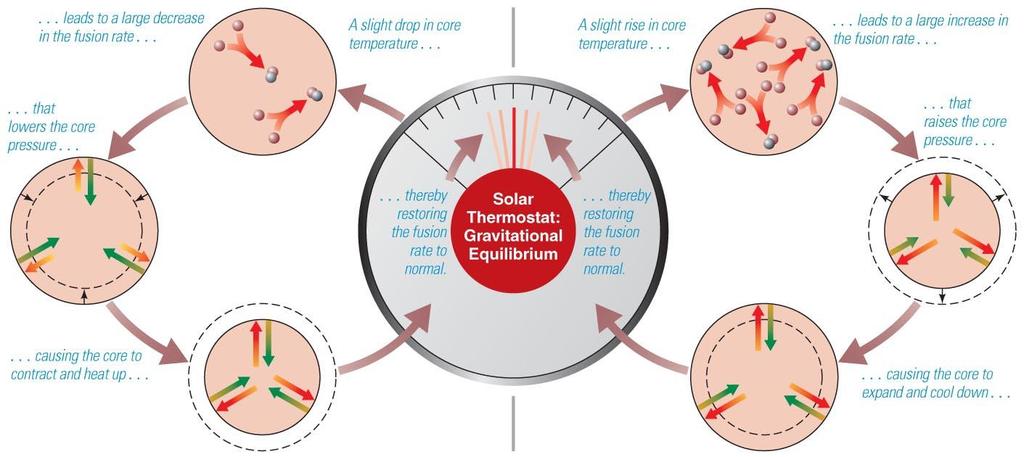 Solar Thermostat Decline in core temperature causes fusion rate to drop, so core contracts and