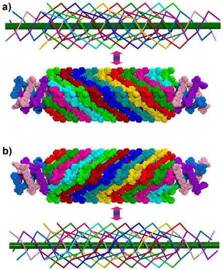 Fig. S7 Two opposite chiral double-walled nanotubes with twelvefold helices in
