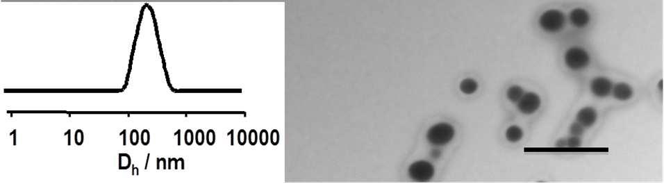 TEM image of the aggregates self-assembled from oligoethylene phosphine functionalized polymers in hexane/thf (85/15 by volume). Scale bar = 1 µm. (Inset: DLS analysis).