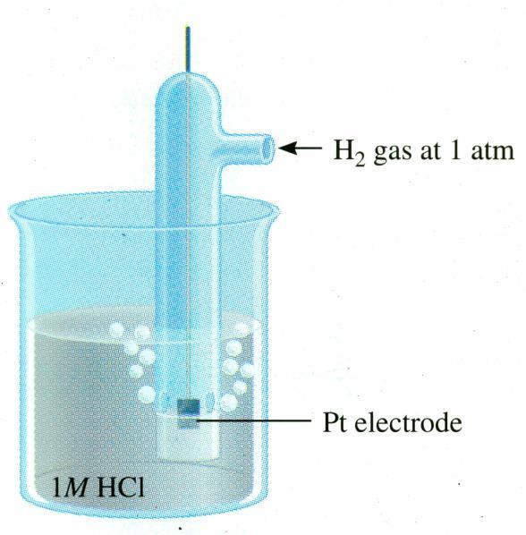 Standard Hydrogen Electrode(SHE): 2H +