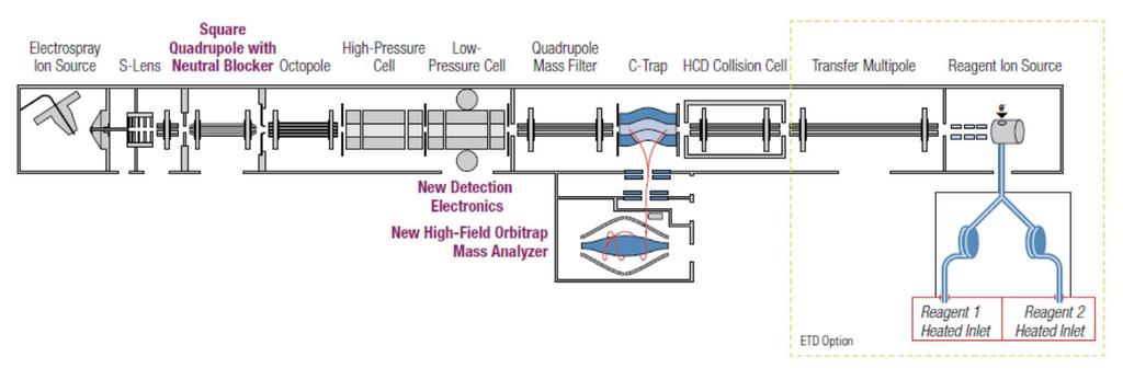 2 Figure 1. Instrument schematic of the Orbitrap Elite mass spectrometer. An optional electron transfer dissociation (ETD) module and major design improvements are highlighted in the figure. Table 1.