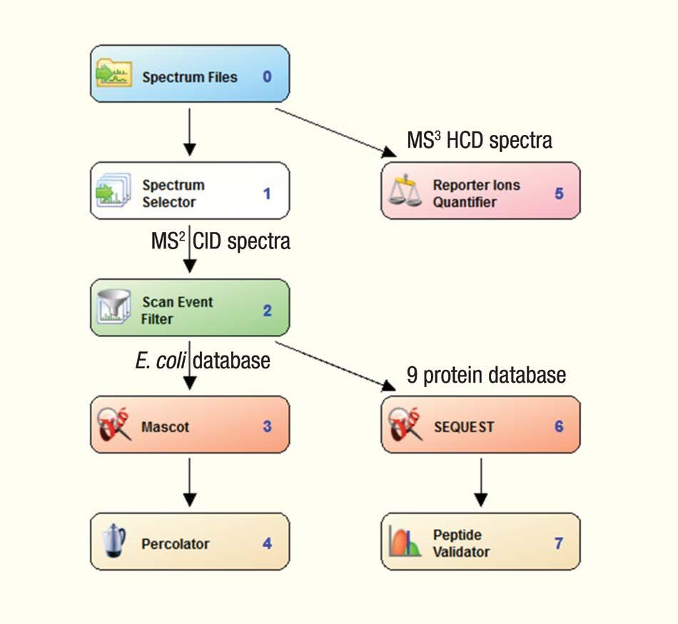 Data Processing Thermo Scientific Proteome Discoverer software version 1.3 with Mascot 2.3 or SEQUEST search engines was used for peptide/protein identification.