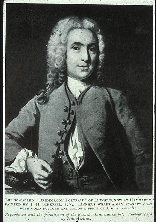 Why is Linnaeus famous?