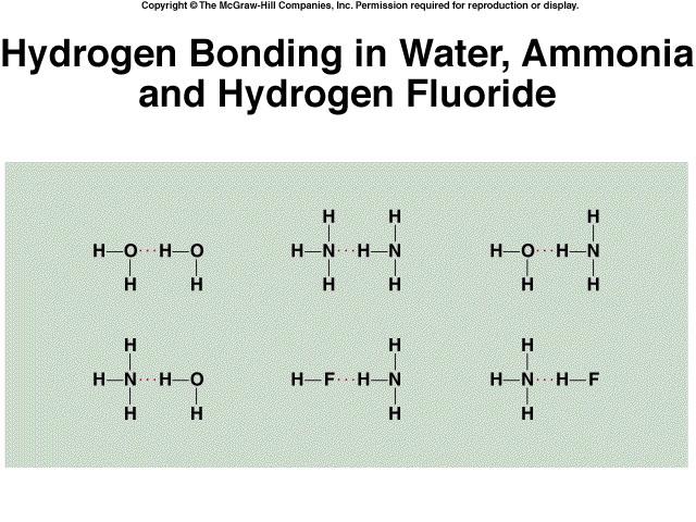 Hydrogen Bond Intermolecular Forces The hydrogen bond is a special dipole-dipole interaction between they