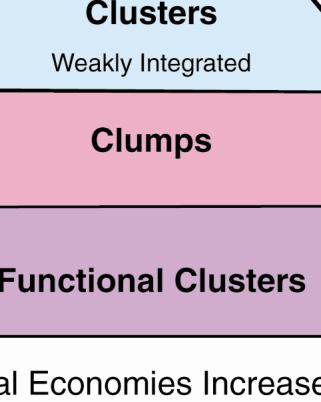 Functional Clusters, Clumps, and Working Clusters (D.