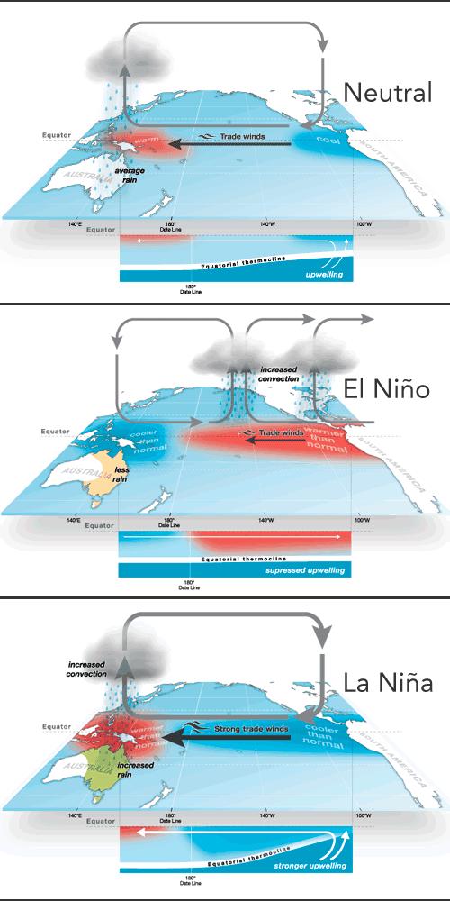 WHAT IS EL NIÑO? El Niño-Southern Oscillation (ENSO) events i.e. El Niño and La Niña are natural phenomena that occur on average every two to seven years.