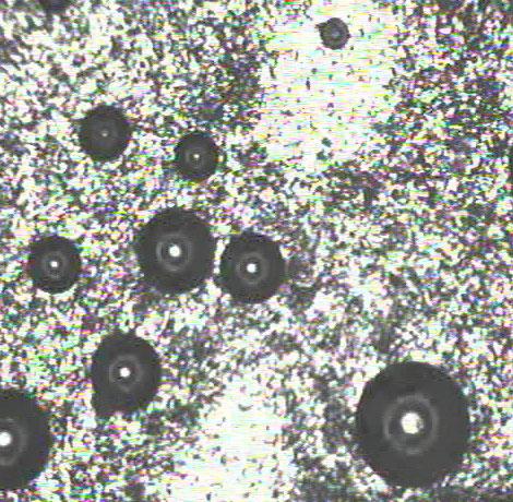 Particle-stabilized bubbles? Ashby, N.P. & Binks B.P.(2000) Pickering emulsions stabilised by Laponite clay particles, Phy. Chem..Chem. Phys., 2, 5640.