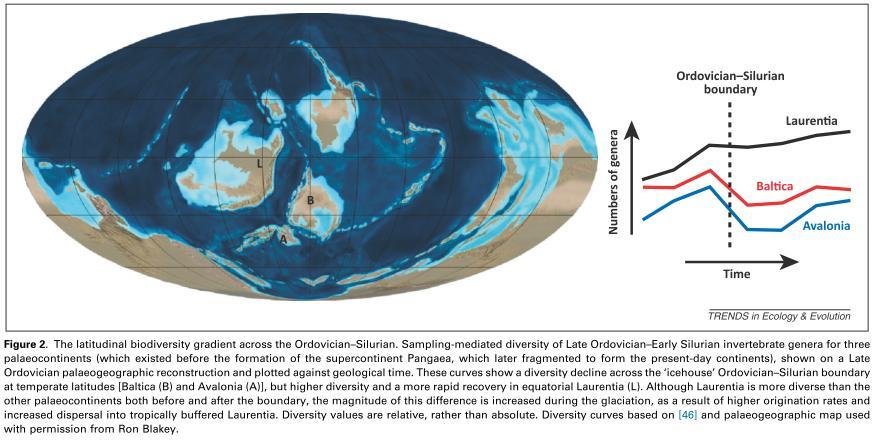 The present day latitudinal diversity gradient (LDG) is explained by current - climatic variables/energy availability -