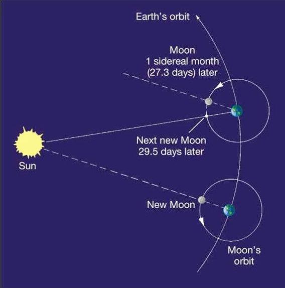 The Moon: Orbital Periods Some other properties (cont) Density: the Moon s density is 3.3 g cm -3 Sidereal month (27.