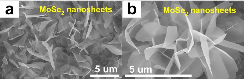 Figure S3. SEM images of MoSe 2 nanosheets directly grown on a graphite disc.