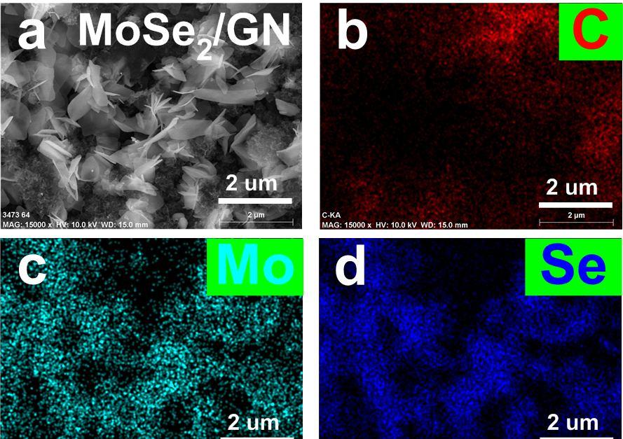 Figure S5. (a, b, c, d) SEM images and EDS elemental mappings of the MoSe 2 /GN hybrids. (e) EDS profile of the MoSe 2 /GN hybrids. (f) Raman spectrum of the MoSe 2 nanosheets.