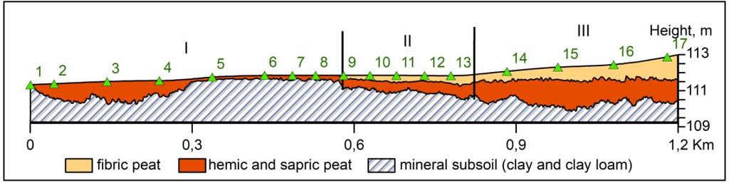0.90 m, and the maximum value is 1.30 m within the considered layer. The surface of the mineral bottom is not flat. Two depressions of the mineral bottom allocated with surface slope reaching 1-1.5 %.