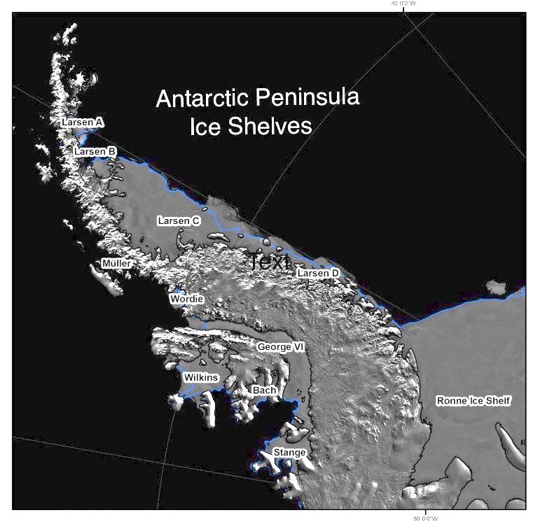ACTIVITY II: THE FATE OF THE LARSEN S, A FAMILY OF ANTARCTIC ICE SHELVES Ice Shelves play a critical role in Antarctica, serving as a buffer between the ocean and the continental ice sheet covering