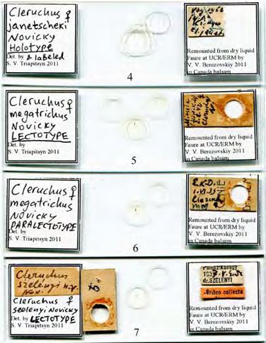 sisting of 21 of his mounts (Viggiani 2011), was sent from DEZA to the Entomology Research Museum at the Department of Entomology, University of California, Riverside, California, USA (UCRC) for