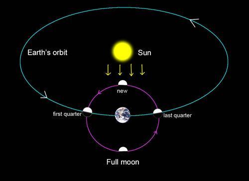 2.5 Sun Earth Relationships Earth s Orbit Diameter of Earth 12,700 km, moves around the Sun in an orbit Diameter of the Sun 1,390,000 km and distance 153 148 x 10 6 km from Earth.
