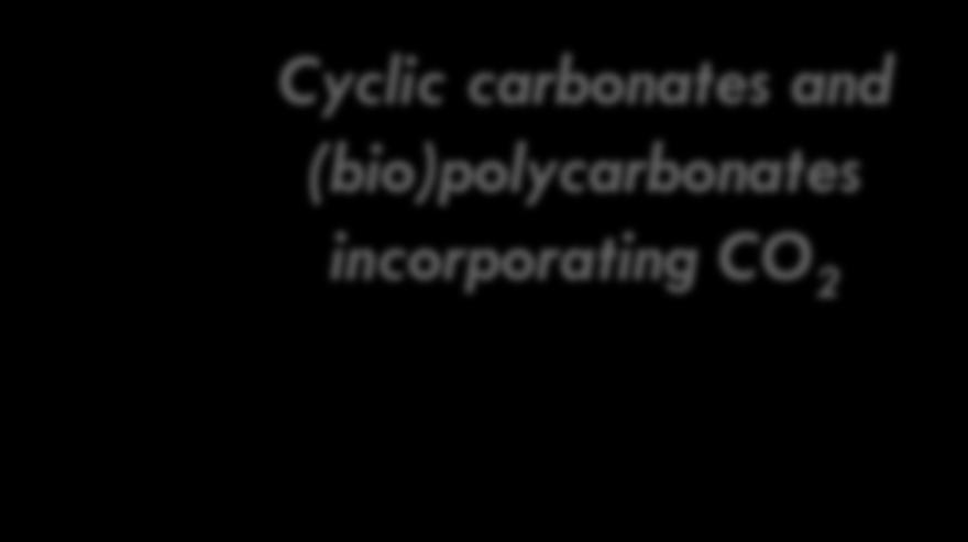 Project examples: CO 2 as building block Prof A.