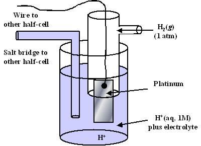 Standard hydrogen electrode (SHE) gas electrode its potential is used as a