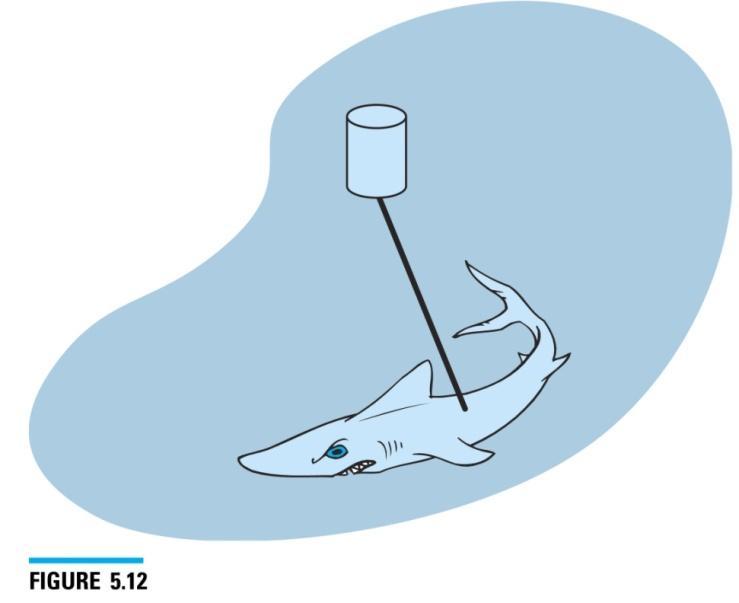 Example 5.4 Great White Shark Attack 55 gal barrel weighing 35 lb What force Shark to overcome?