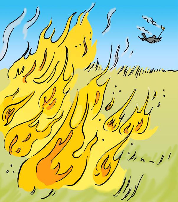 Soon, all the grass and bushes were burning, and the fire spread quickly. The fire roared like ocean waves as it spread out over the landscape.