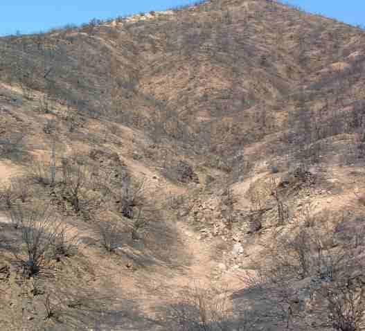 Landslides Wildfires Prevalent in the Green River Basin De-vegetates the slope, which in turn reduces stability Earthquakes