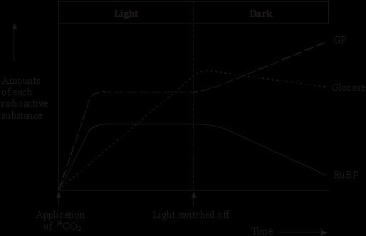 (c) Figure 2 shows the results of an experiment in which photosynthesising cells were kept in the light and then in darkness.