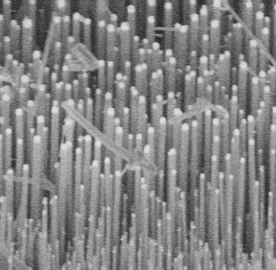 Nanowires Solid, one dimensional Can be conducting,